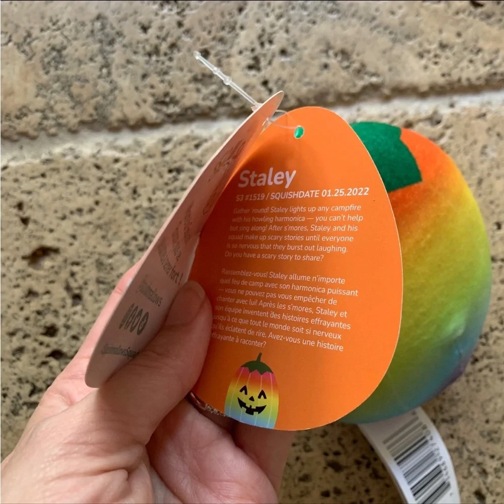 Squishmallow Staley Rainbow Pumpkin Clip Keychain NWT